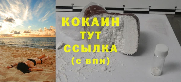 хмурый Алексин