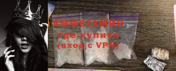 хмурый Алексин