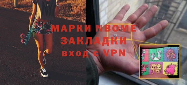 хмурый Алексин