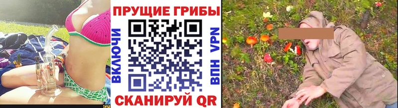 Псилоцибиновые грибы Psilocybe  купить наркотики цена  кракен ссылки  Буй 